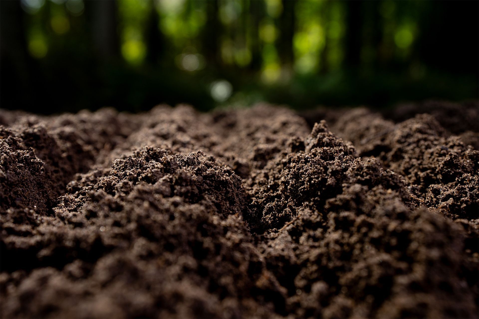 Close-up of rich, dark brown soil with a blurred forest background.