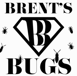 Brent's Bugs logo, featuring a diamond around the letter B, with bugs around the logo.
