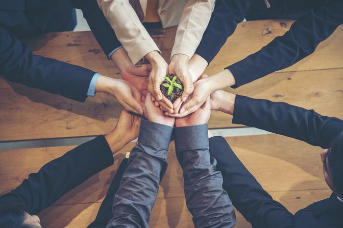 società di persone
