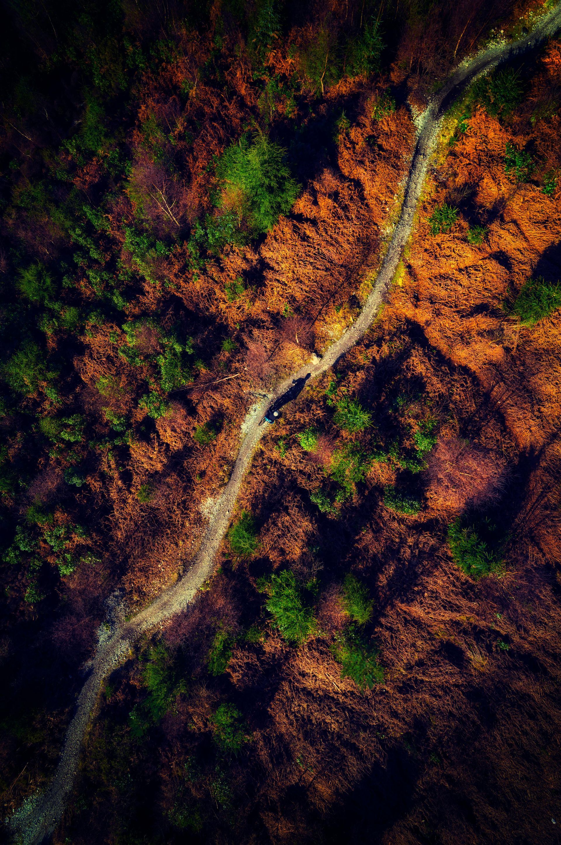 trails