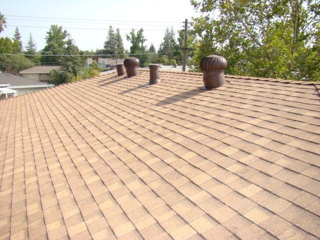 Asphalt Shingle Roofing