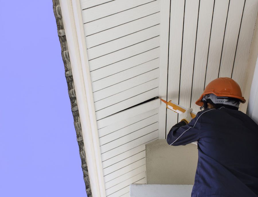 Roof Maintenance