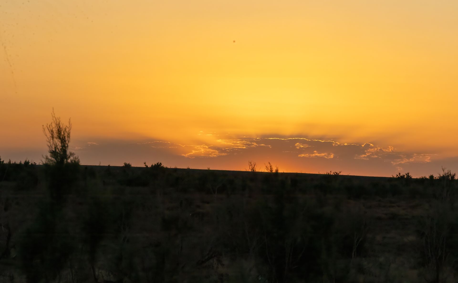 Sunset over a flat, grassy landscape. Orange and yellow sky with sparse clouds.