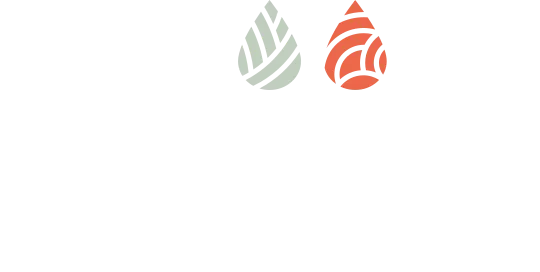 Therapeutic Massage Studio in Greenwood Village, CO | Elements Massage Therapeutic Massage Studio in Greenwood Village, CO | Elements Massage