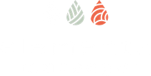 Massage Spa in Greenwood Village, CO | Therapeutic Massage Studio