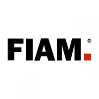 logo fiam
