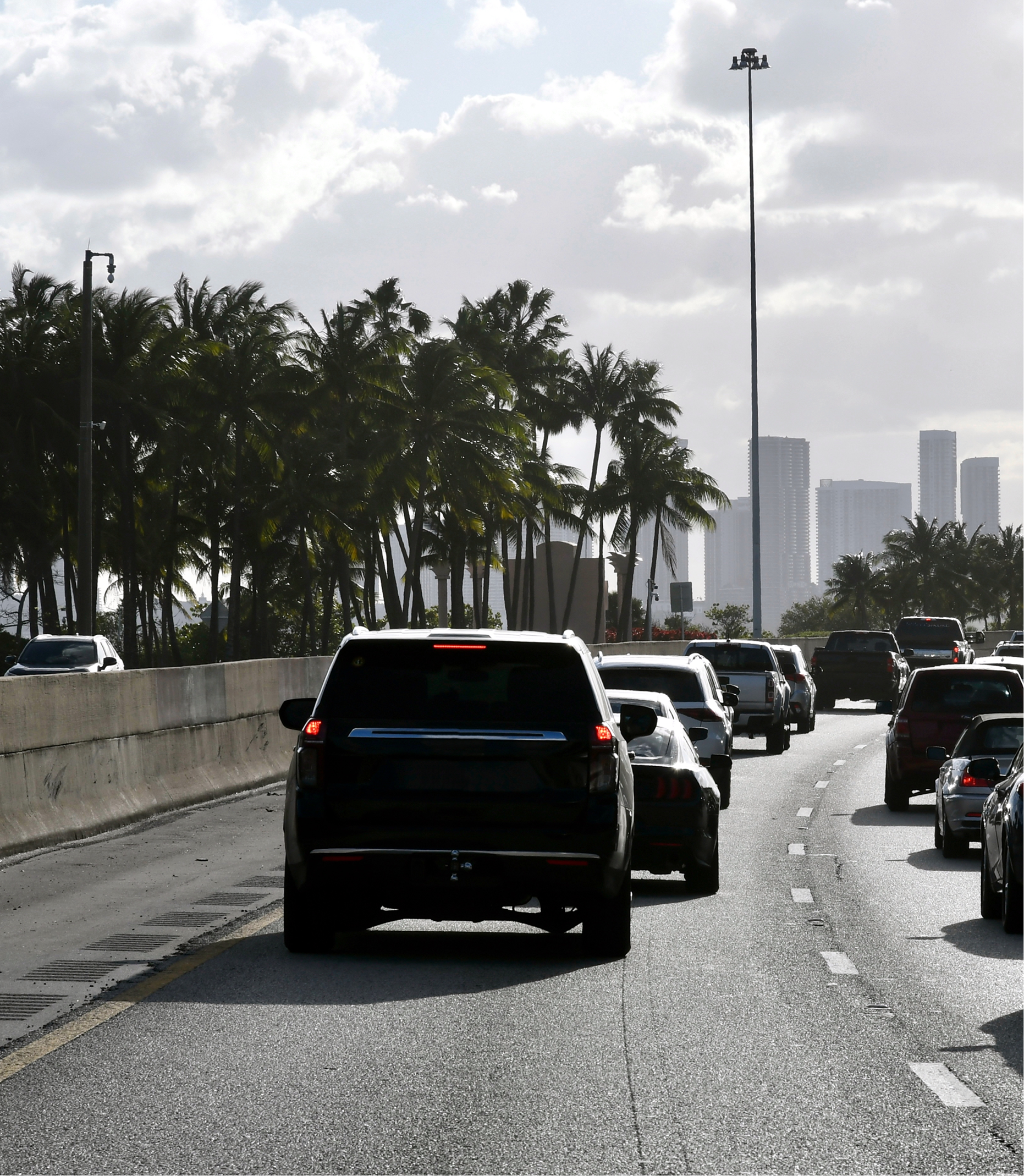 Traffic jam on a wet highway with black SUVs and palm trees, city skyline in the distance