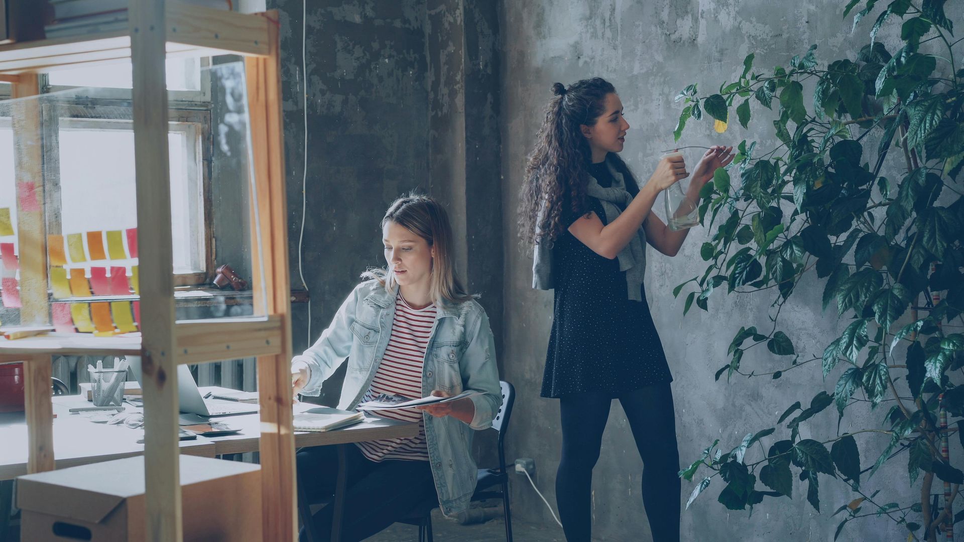 Two people in a sunlit room, one seated at a desk and one standing by a wall with plants.