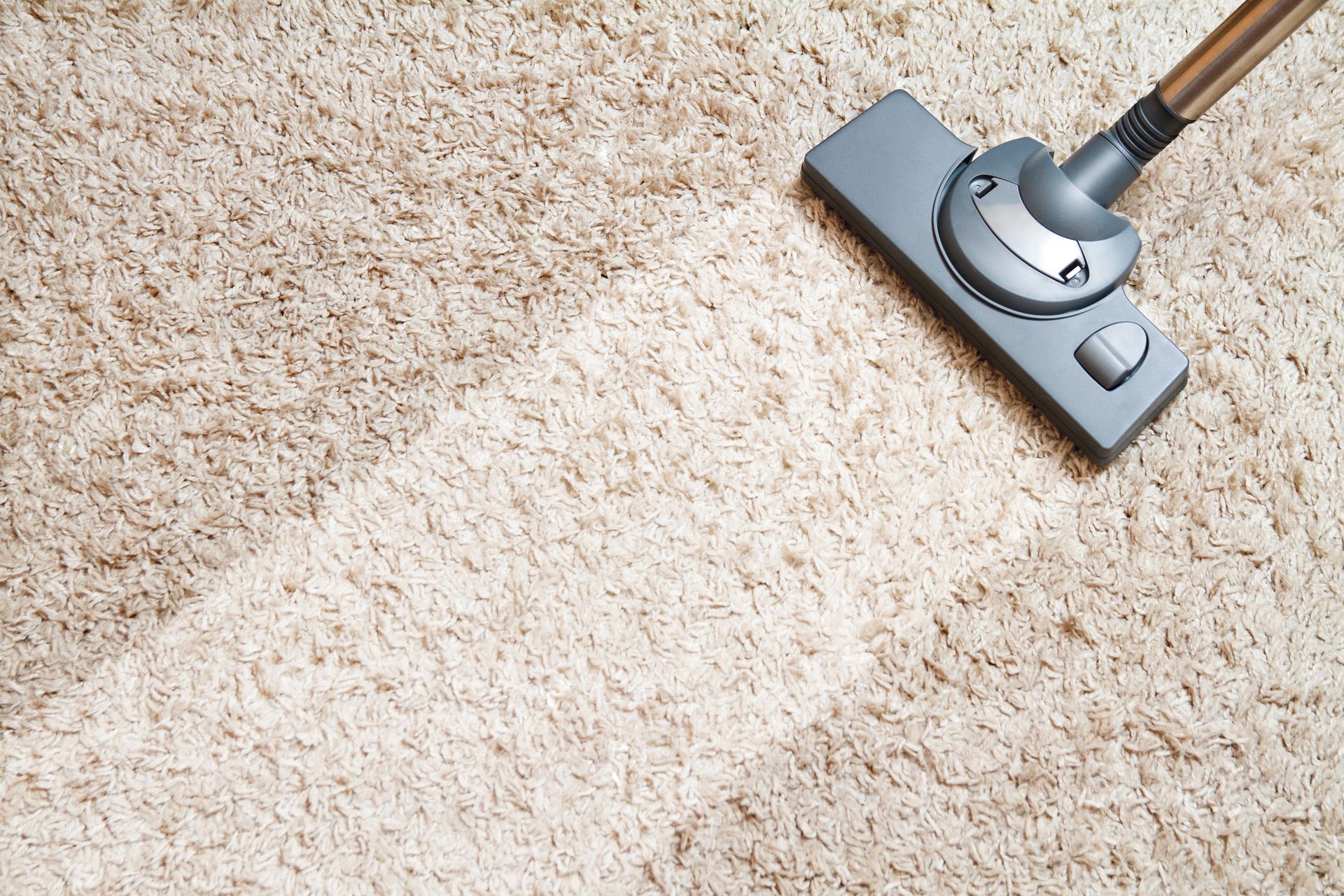 dry cleaning carpet
