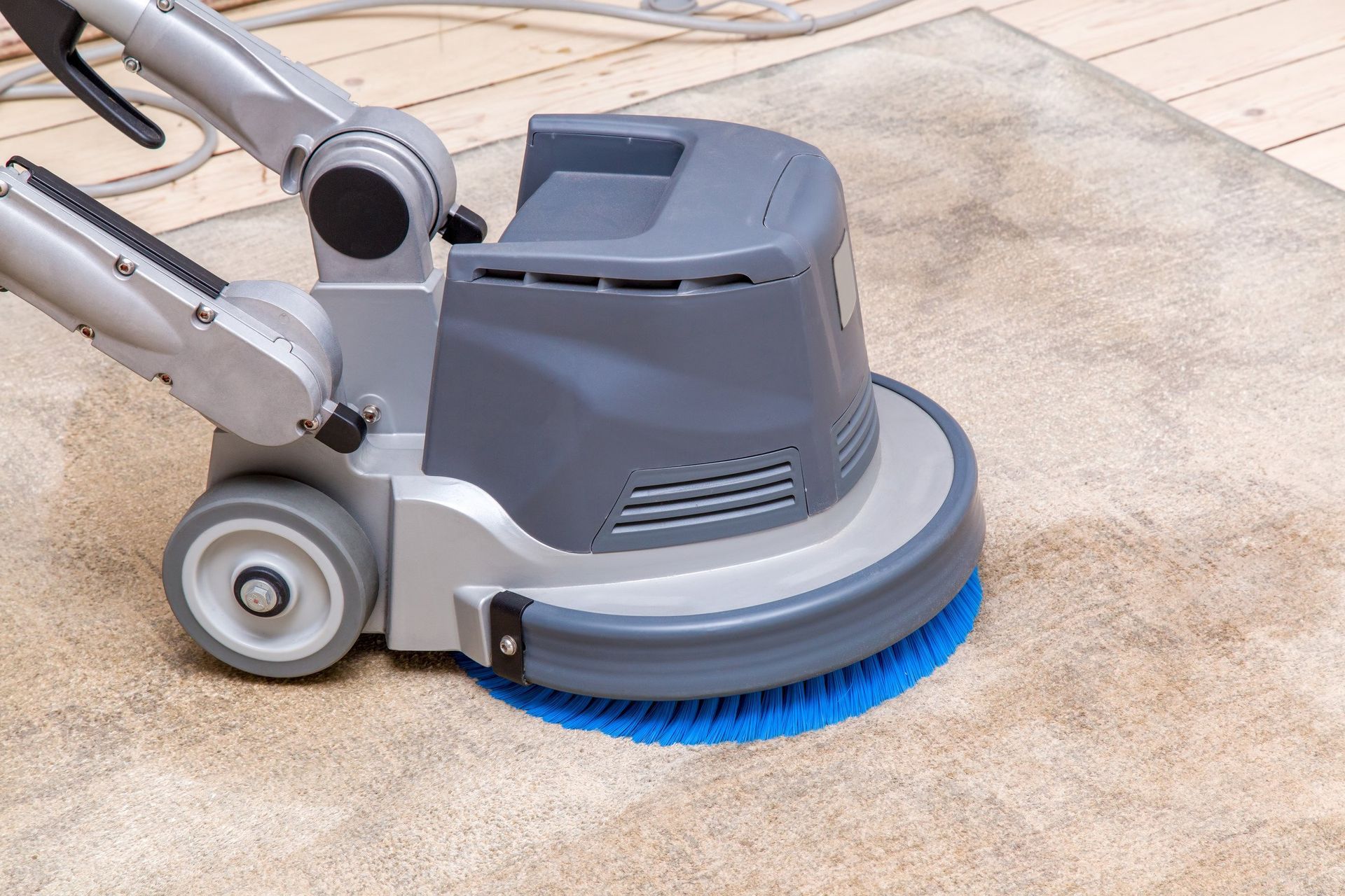 shampooing carpet