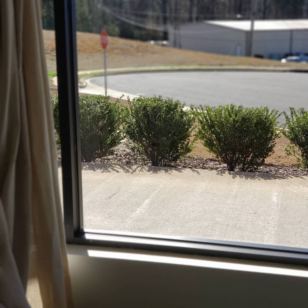 A window with a view of a road and bushes
