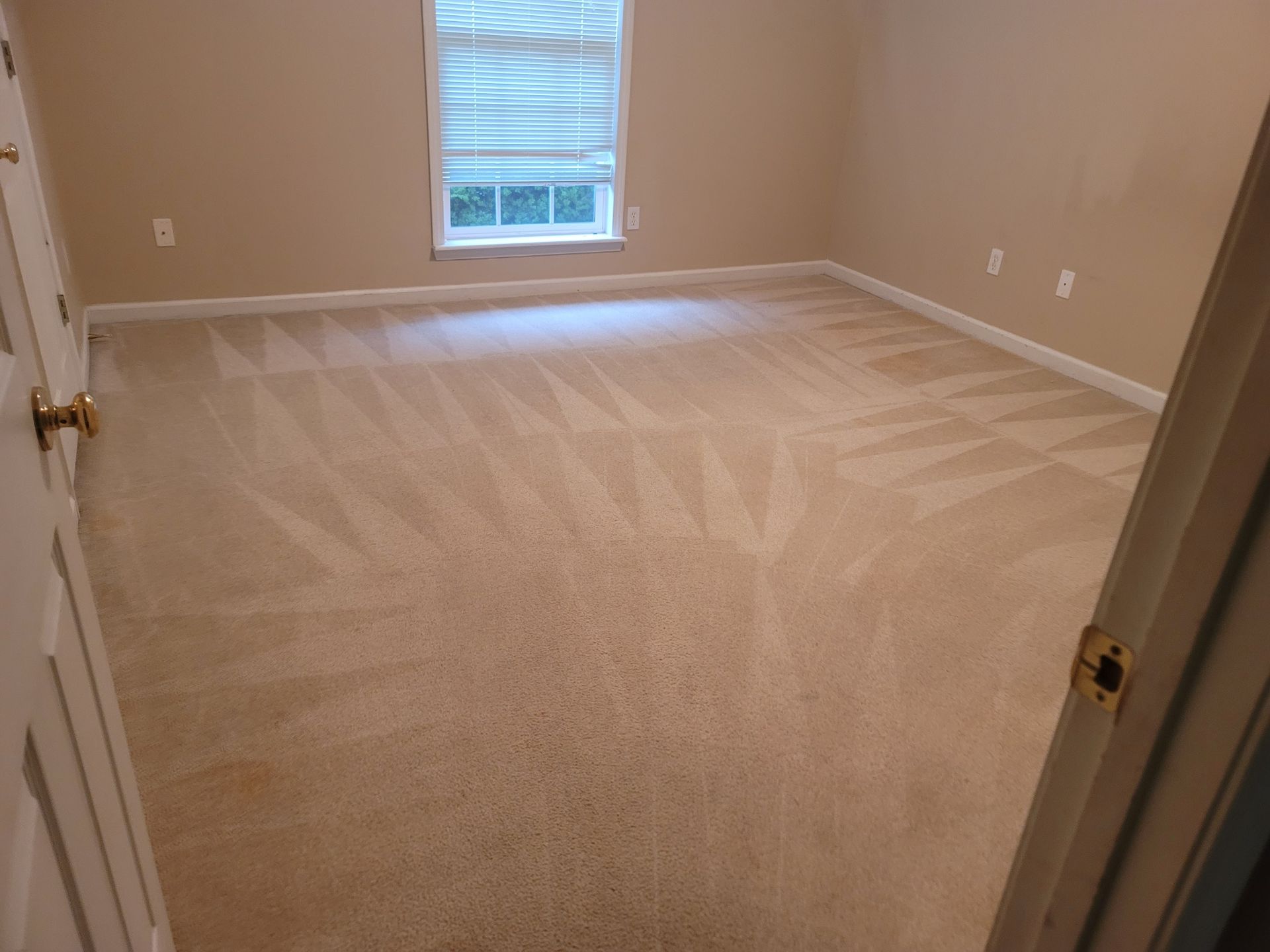 A bedroom with a large carpeted floor and a window.