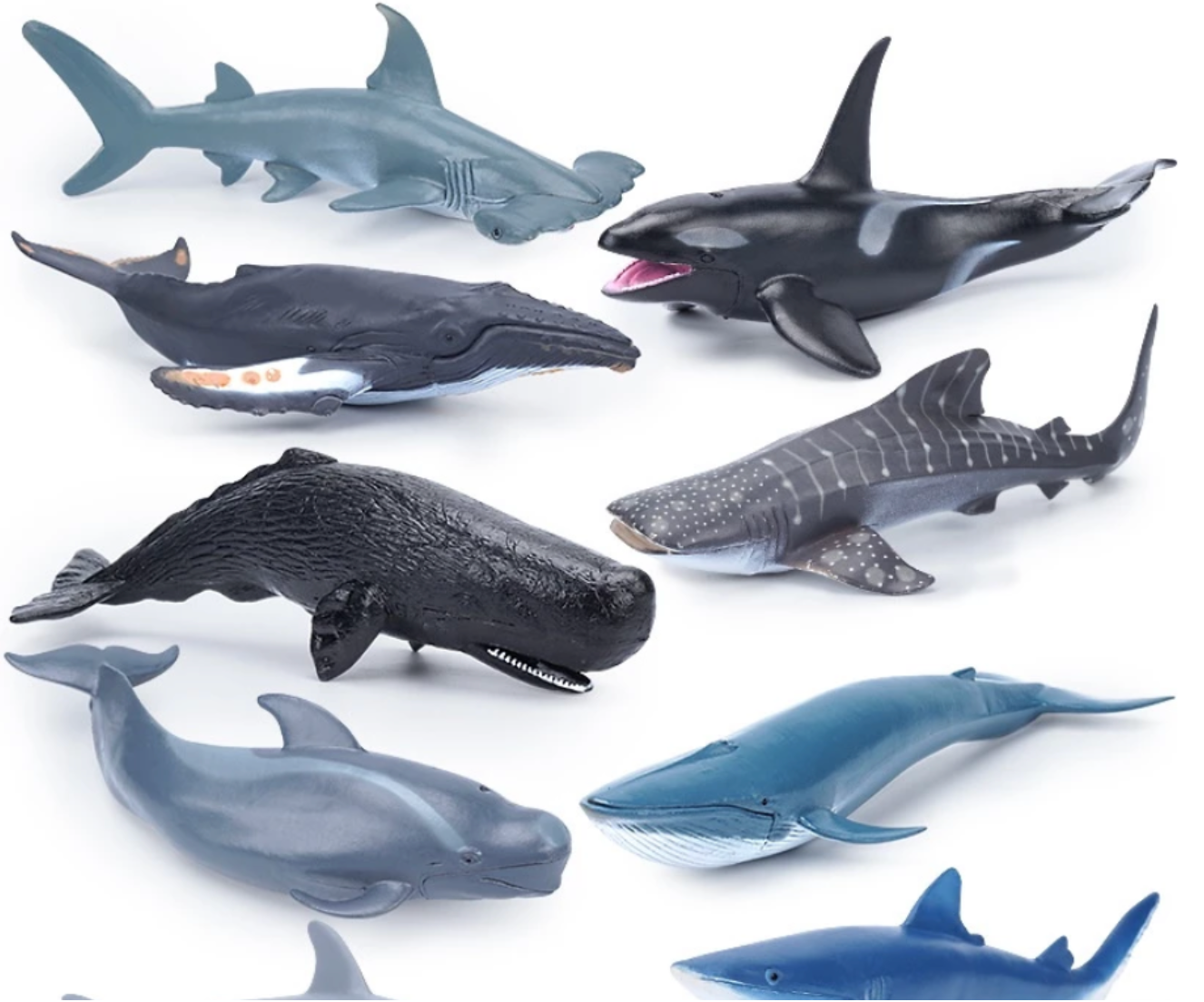 Sea life figurines | Spark English Center Vietnam
