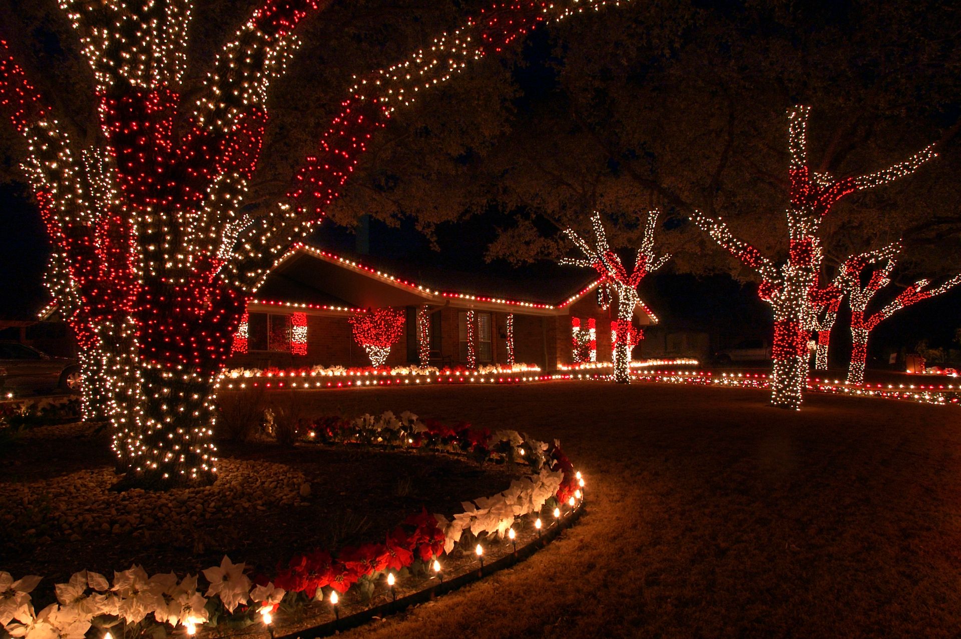 A house and trees are decorated with red and white Christmas lights at night.