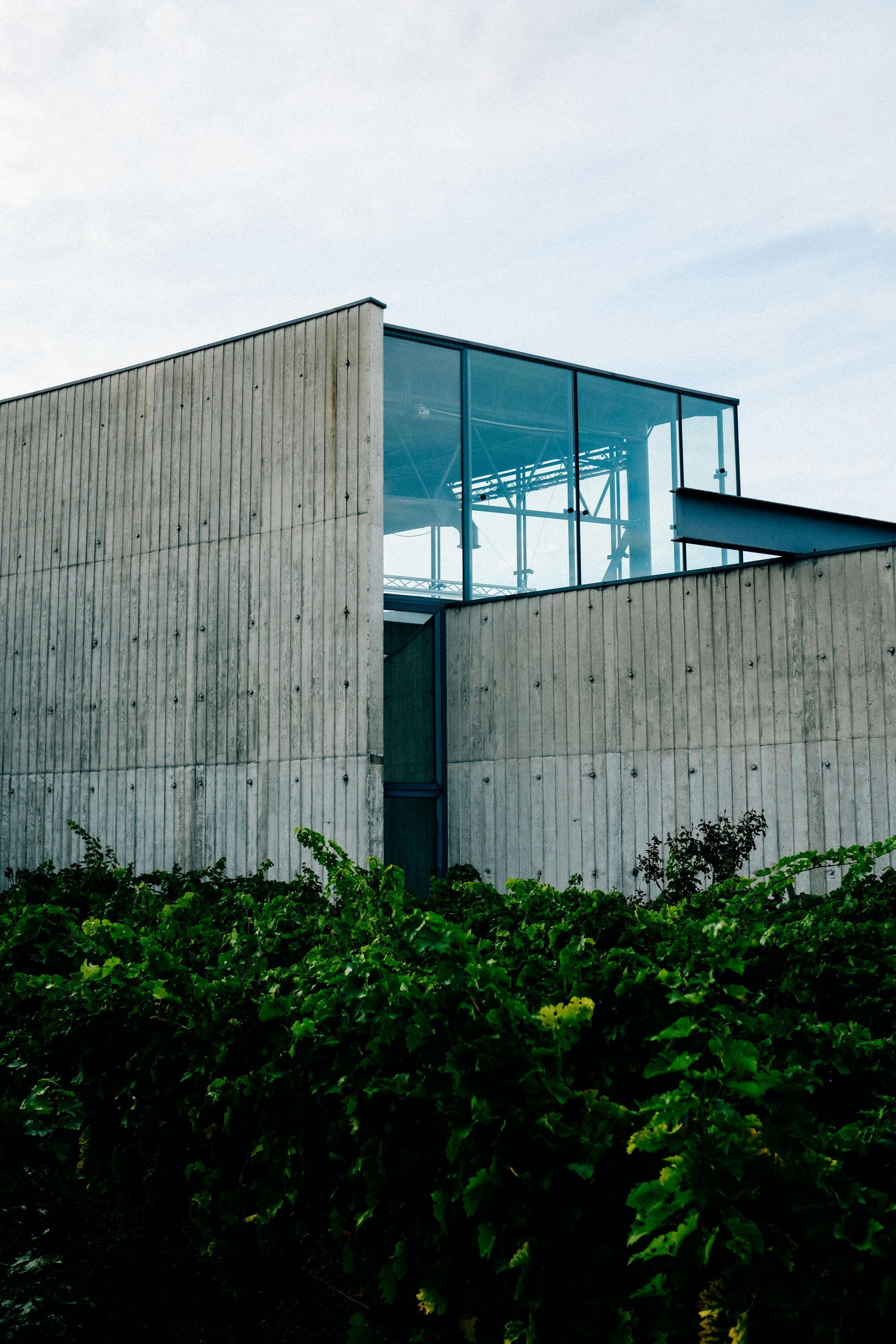 A house with windows and concrete walls 