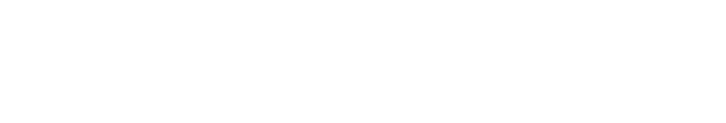 The Fly Witches Bungee Fitness Studio Logo
