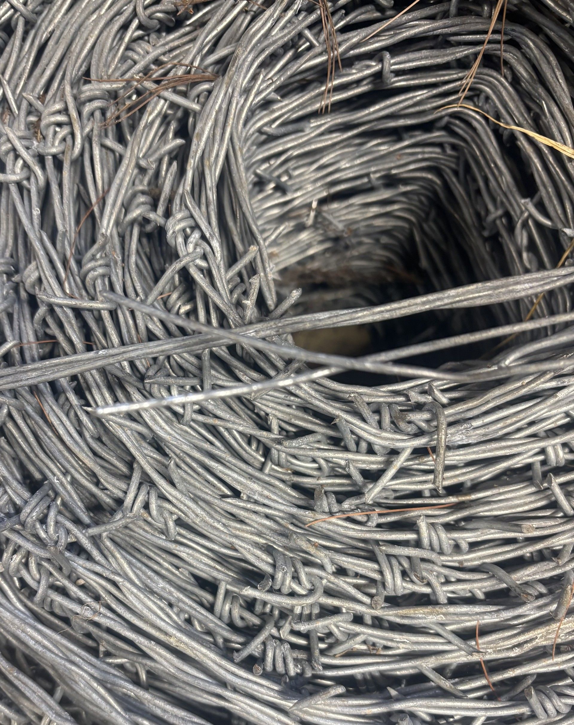 Rouleau de fil de fer barbelé gris enroulé.