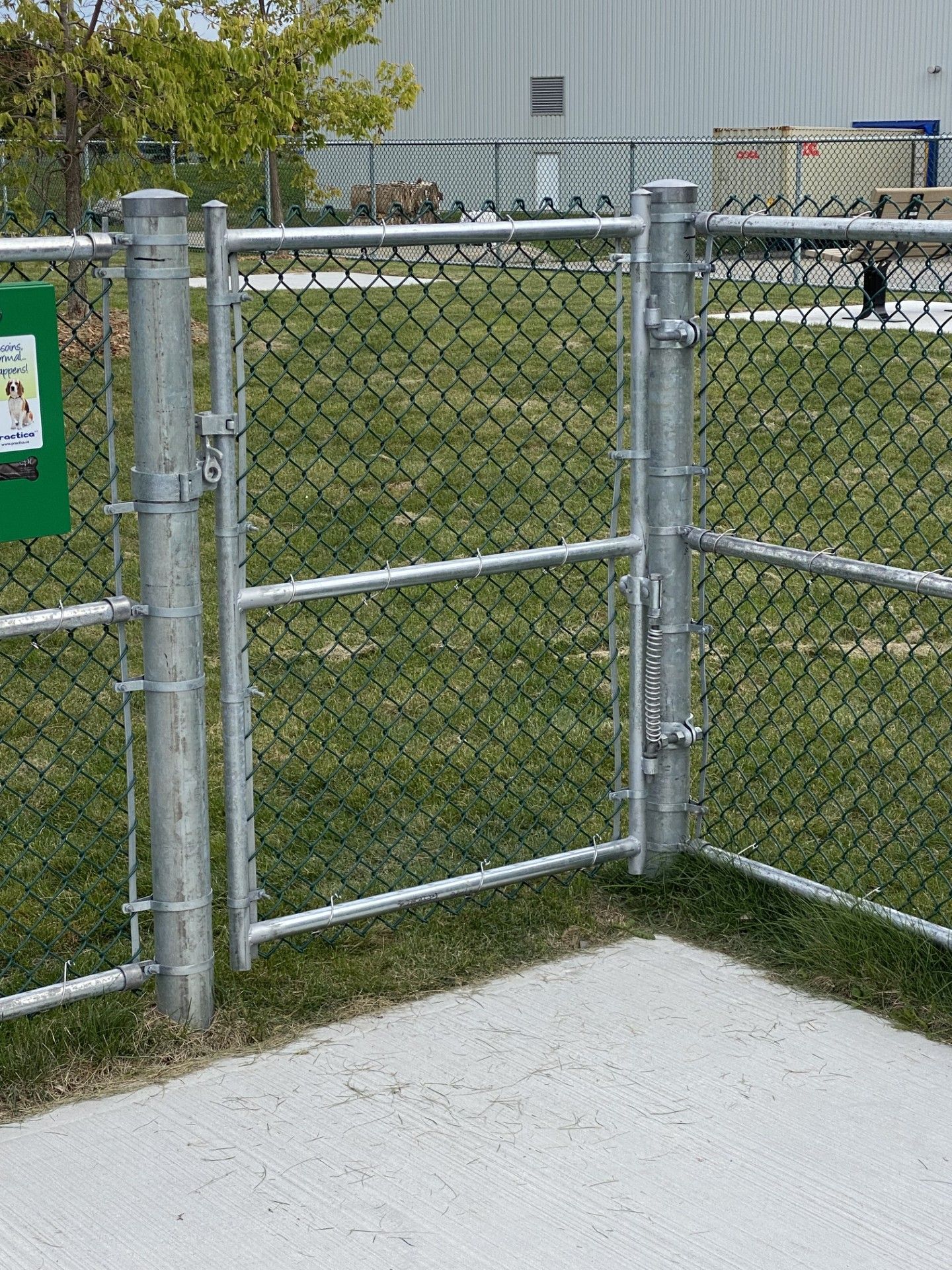 A chain-link fence with a gate, on a concrete pad, enclosing a grassy area.