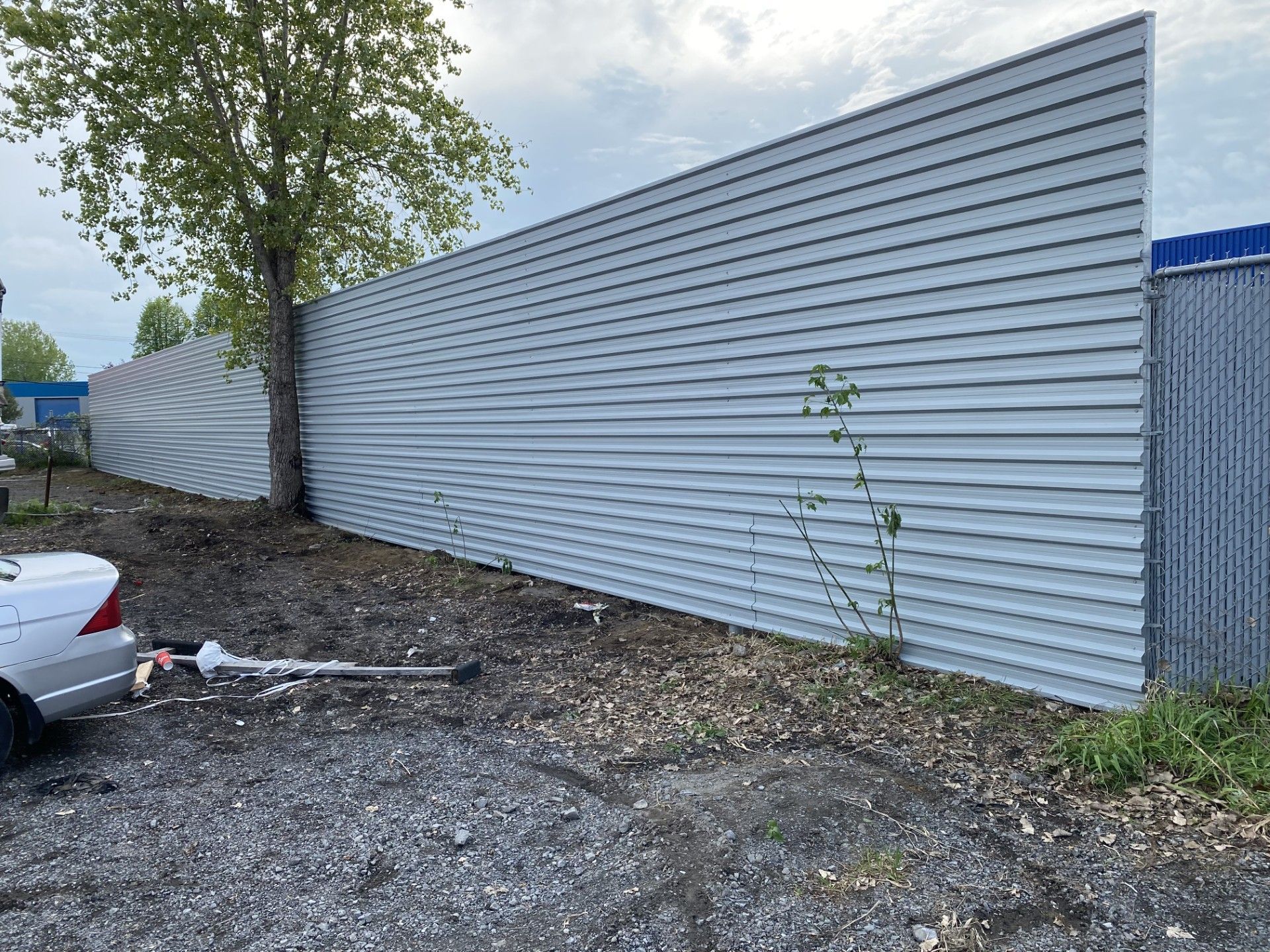A long, corrugated metal fence with a tree growing through it; a car is parked nearby.