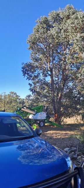 Blue car in foreground, with a green tractor and tall tree in a sunny rural yard