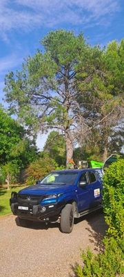 Blue pickup truck parked on a gravel path beside tall green trees under a clear blue sky