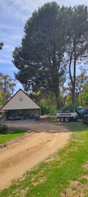 Dirt driveway leading to a small white building, with tall trees and a parked truck in the background.