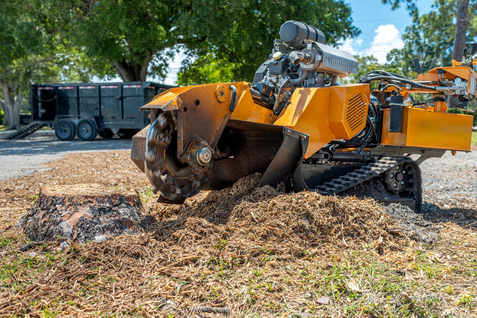 Orange forestry mulcher chewing through wood chips in a wooded area, with a trailer in the background