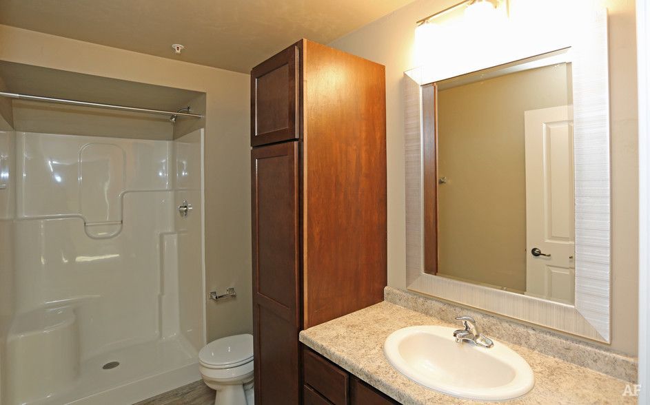 Bathroom with bathtub-shower, toilet, and vanity with mirror and sink