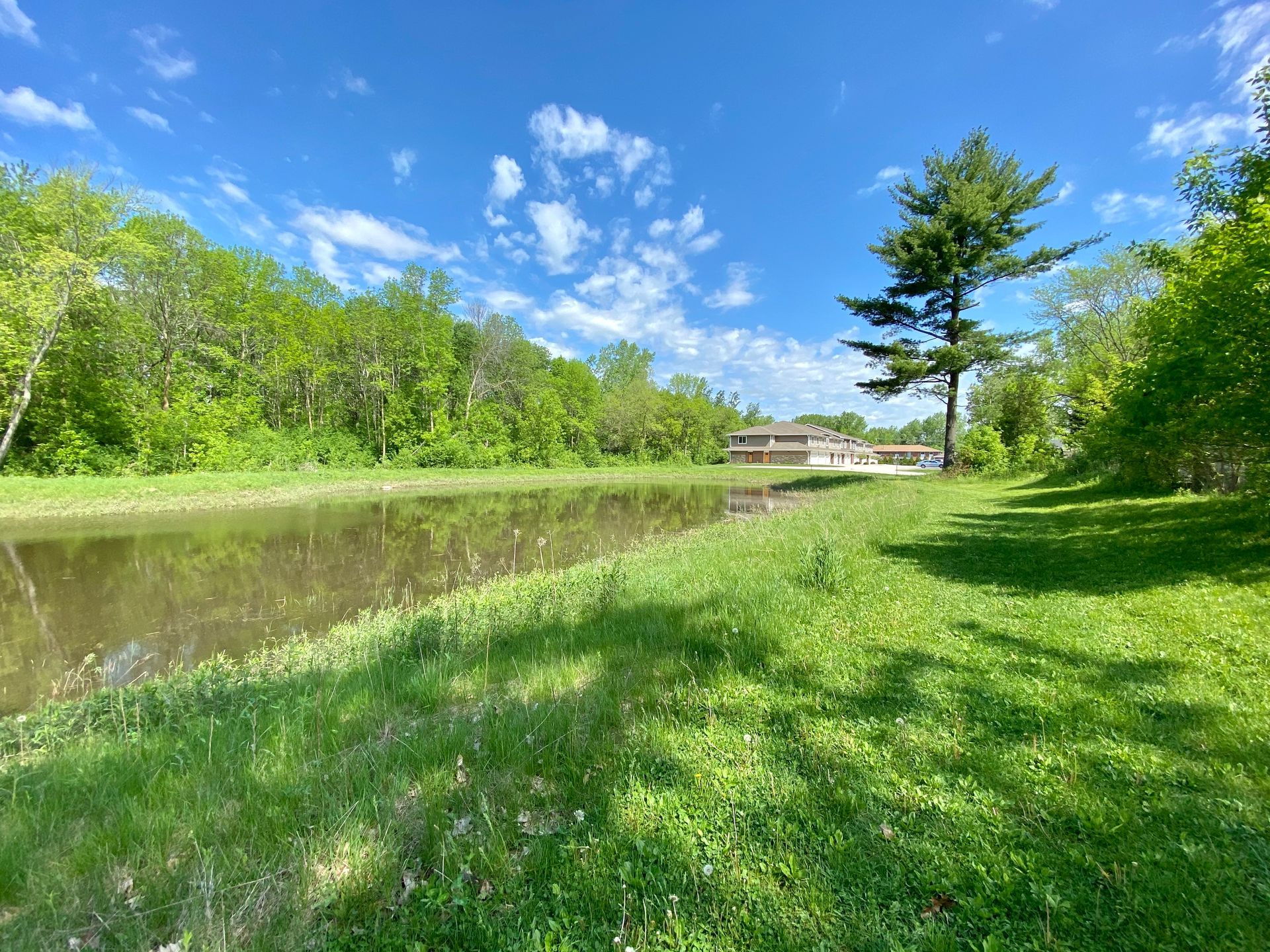 Sunny grassy riverside path with trees and a blue sky