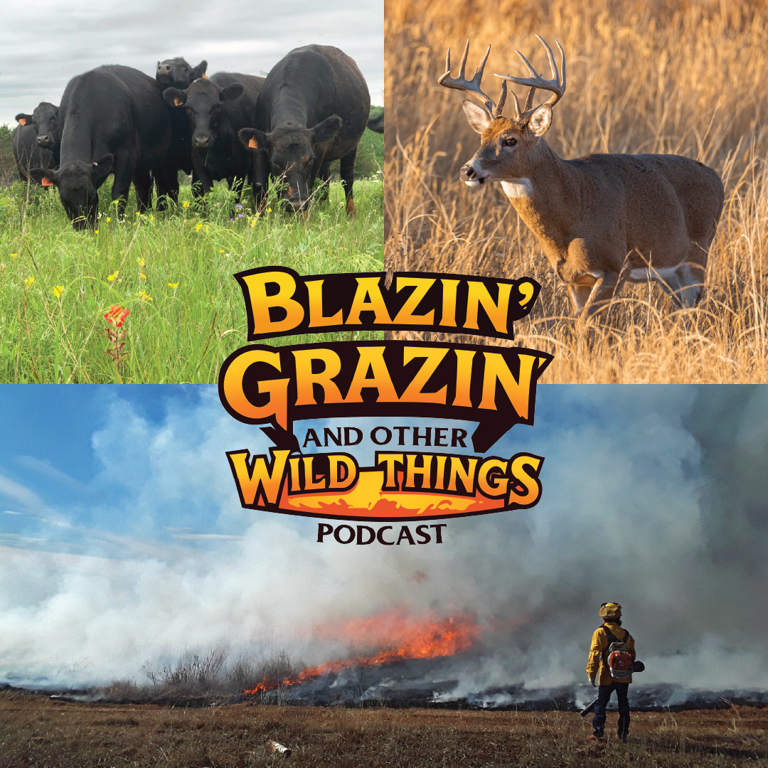 A poster for blazin grazin and other wild things podcast