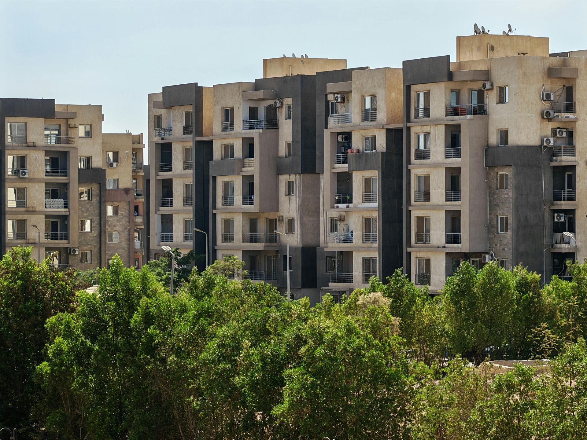 Multi-story apartment buildings with balconies, behind a row of green trees.