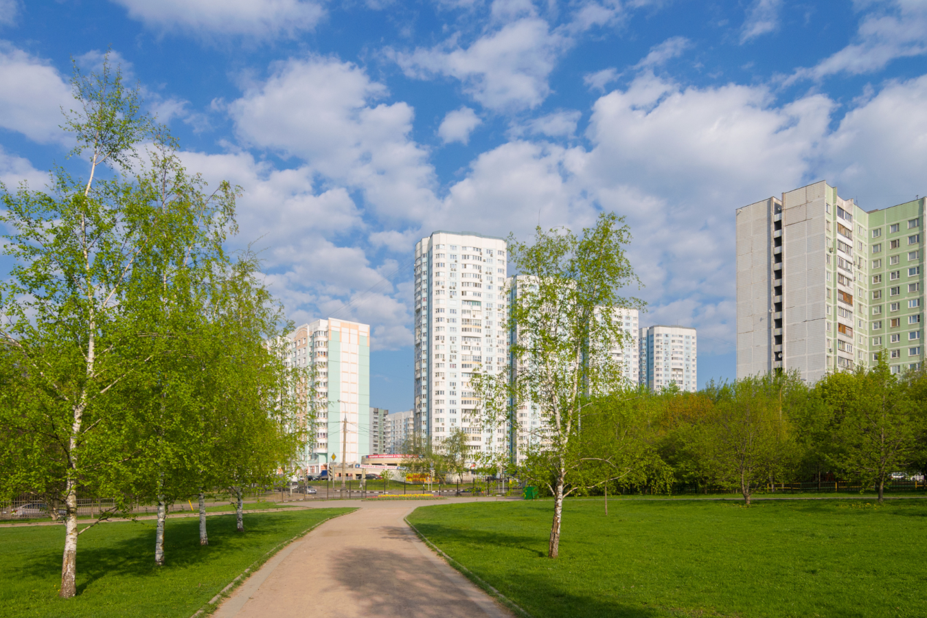 A path in a park with tall buildings in the background.