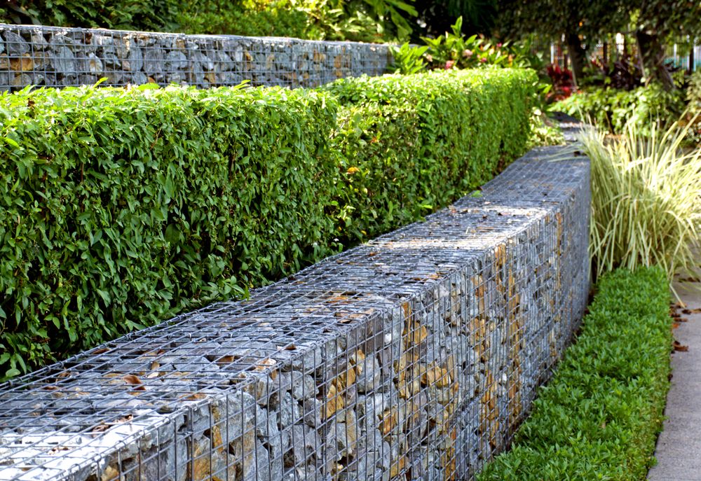Stone and Wire Gabion Walls Tiered With Hedges and Greenery — STJ Earthmoving in Dimbulah, QLD