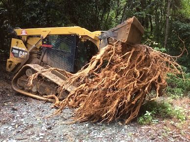 A Bulldozer is Pulling a Pile of Roots Out of the Ground — STJ Earthmoving in Mareeba, QLD