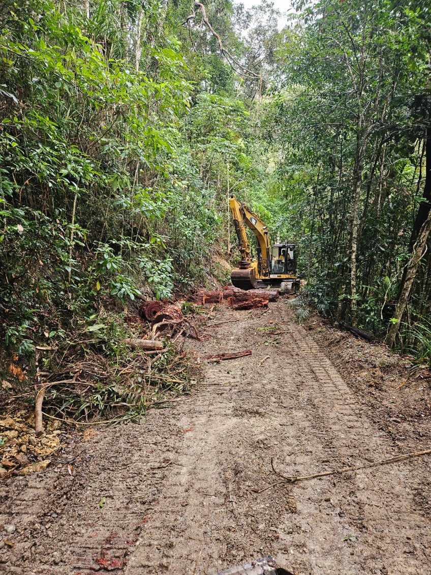 Muddy Road Through a Forest with an Excavator Clearing Trees. Logs and Branches — STJ Earthmoving in Karumba, QLD