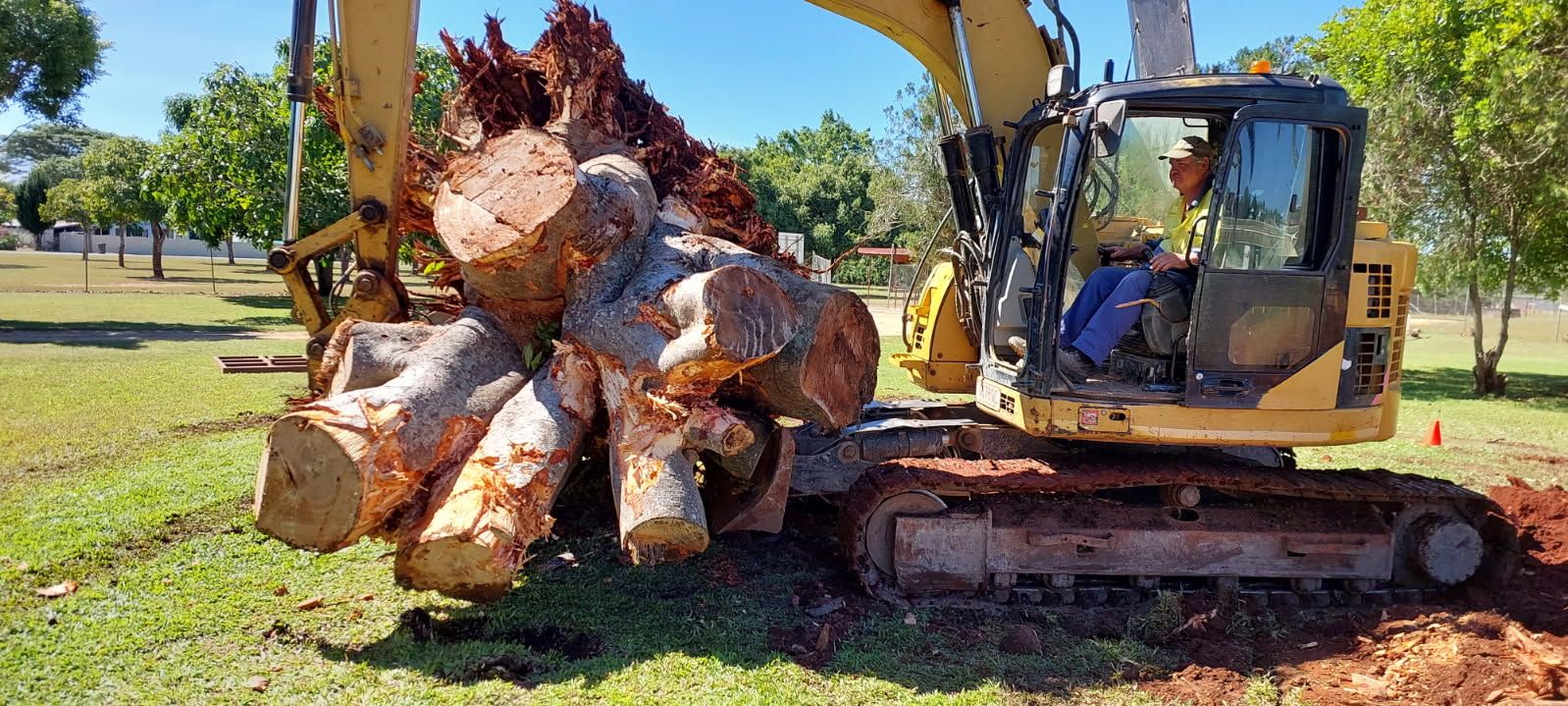 An Excavator Lifts a Pile of Cut Tree Trunks on a Grassy Area — STJ Earthmoving in Georgetown, QLD