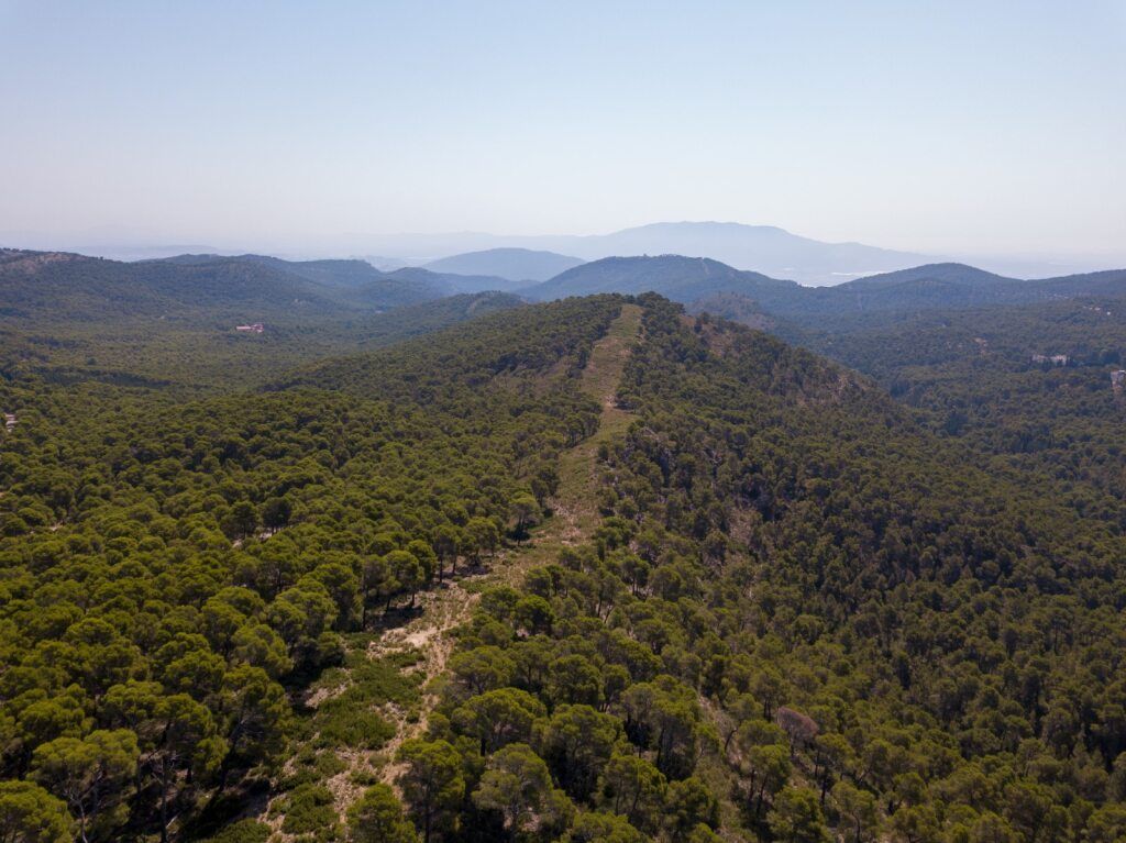 Aerial View of a Forested Mountain Range — STJ Earthmoving in Hann River, QLD