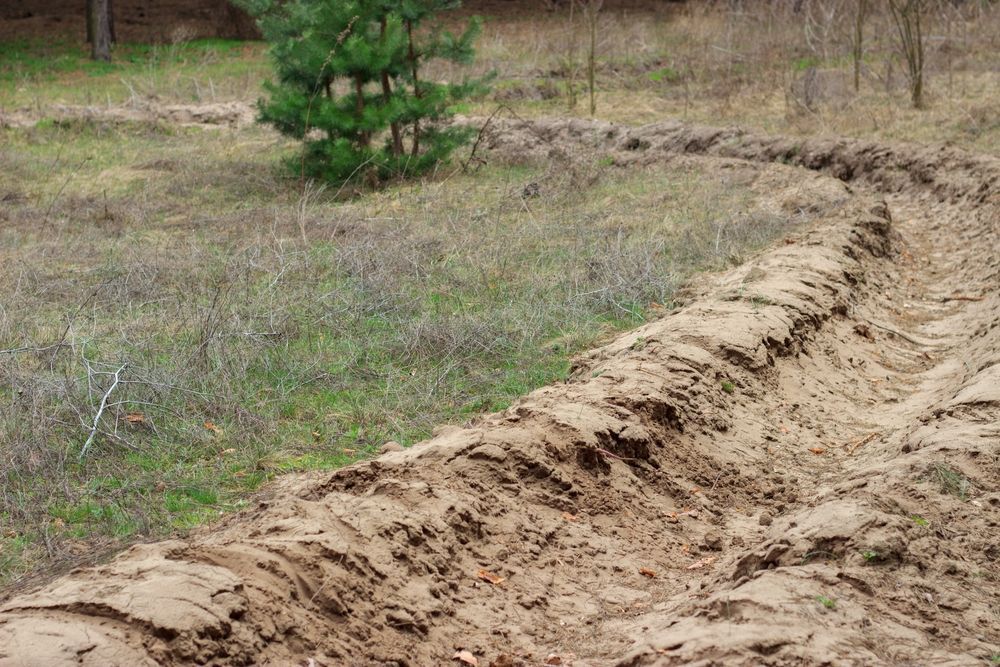 A Sandy Path Winds Through a Grassy Field — STJ Earthmoving in Julatten, QLD