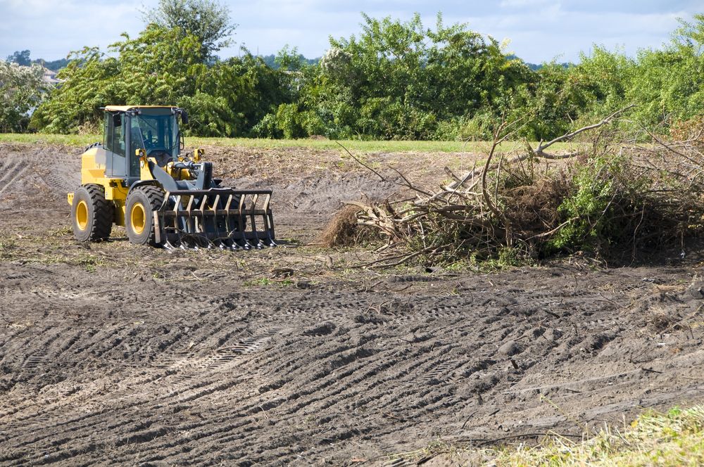 Yellow Front-end Loader Raking Debris on a Cleared Field — STJ Earthmoving in Julatten, QLD