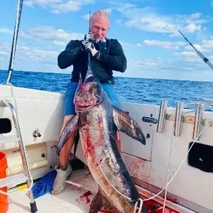 A man is sitting on a boat holding a large fish.