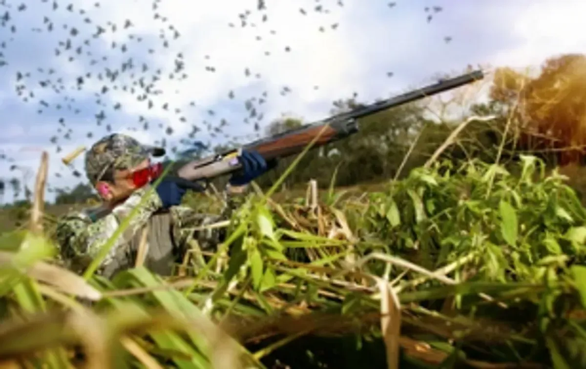 man in camo grear holding a shotgun going dove hunting
