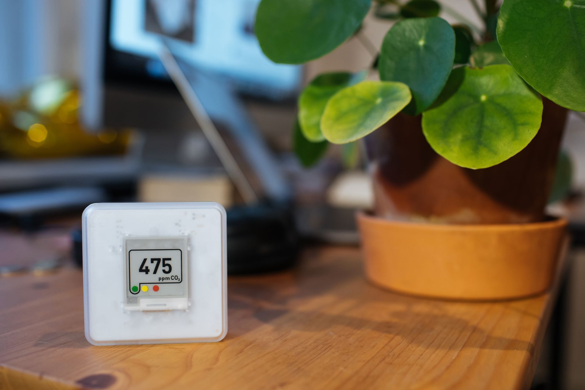 White digital thermometer on a wooden desk beside a potted plant and laptop, showing 47.5°