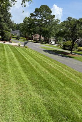 A manicured green lawn with distinct mowing stripes beside a paved driveway, surrounded by lush trees under a blue sky.