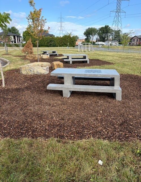 Parc avec bancs en béton sur copeaux de bois, sous un ciel bleu.