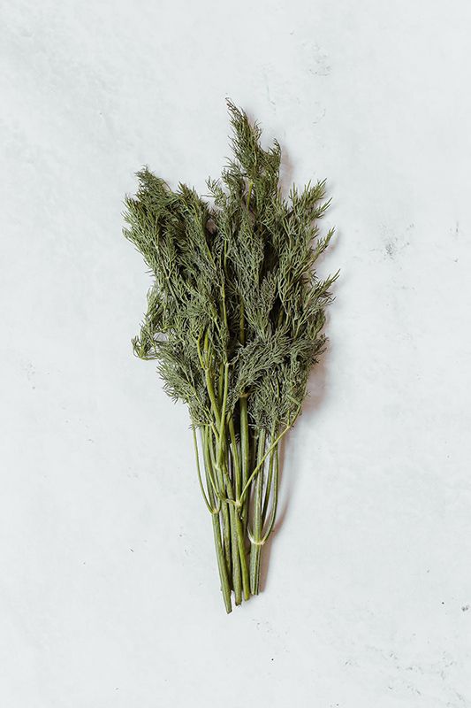 Order before 9pm for next day delivery