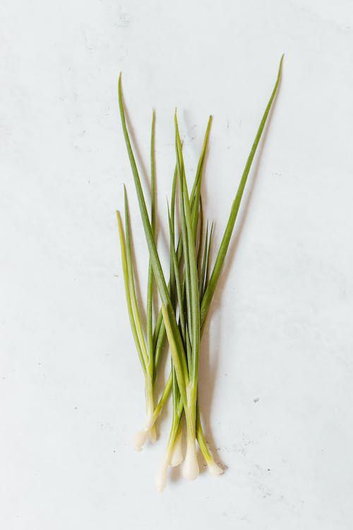 Chives On The White Background — Fresh to Door In Fyshwick ACT