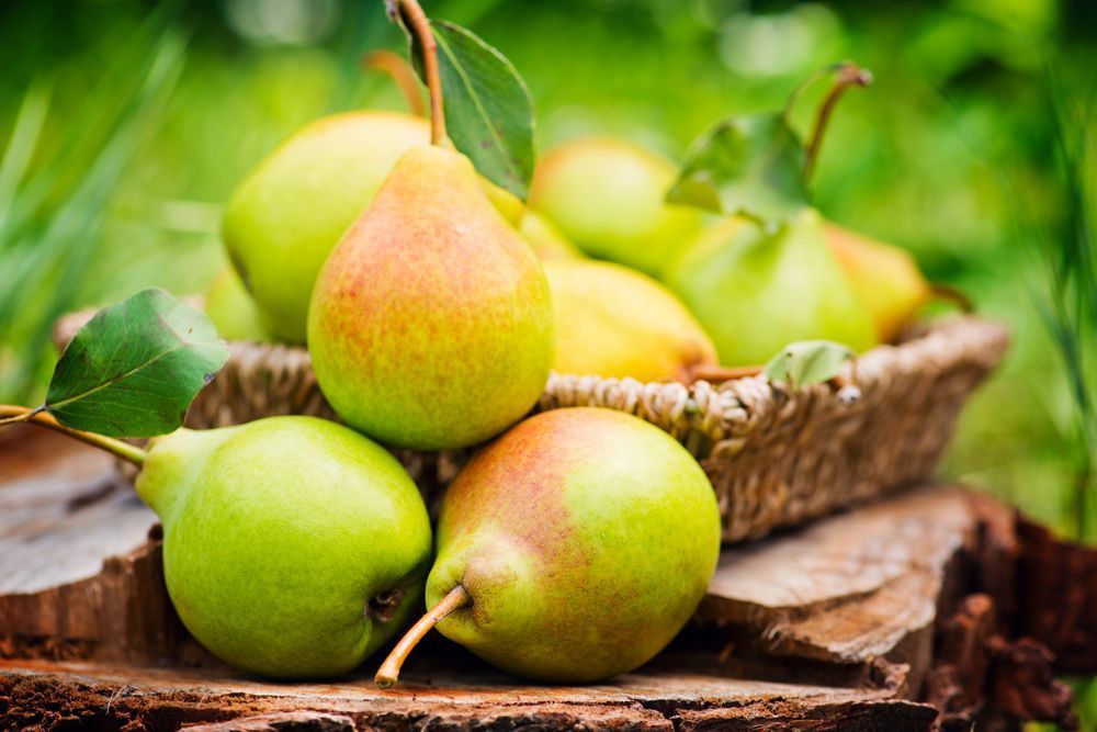 Healthy Organic Pears In The Basket — Fresh to Door In Fyshwick ACT