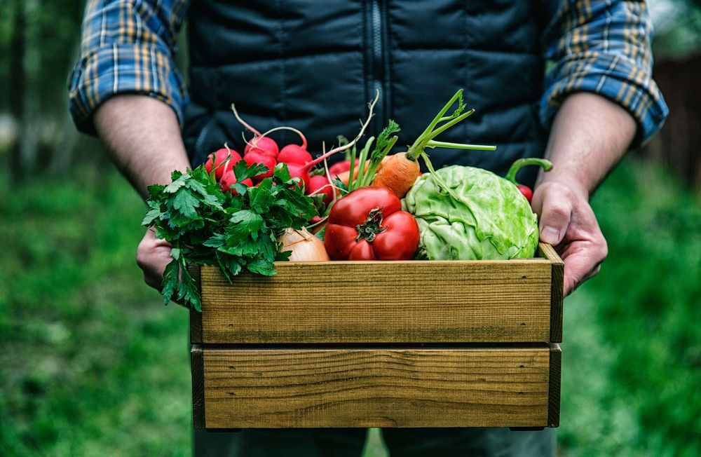 Wooden Box With Fresh Farm Vegetables In Man's Hands Outdoors — Fresh to Door In Queanbeyan NSW