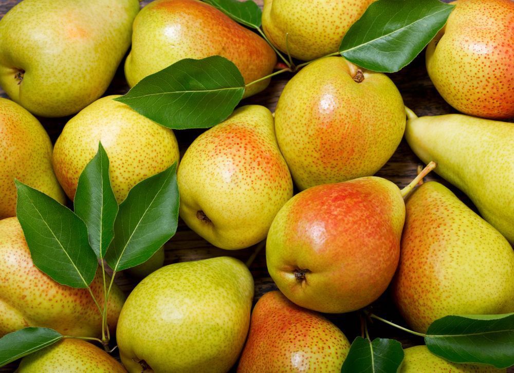 Fresh Pears With Leaves — Fresh to Door In Canberra ACT