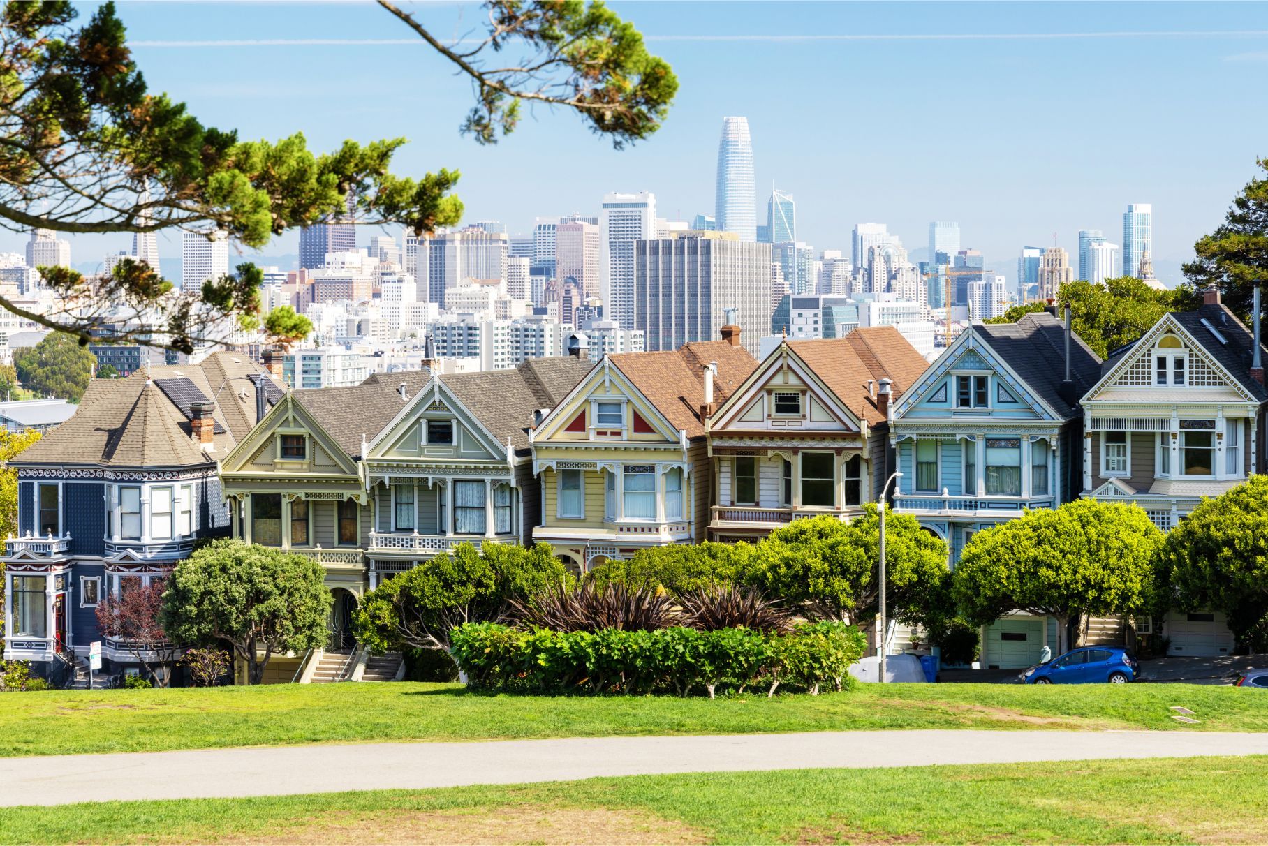A row of houses in a park with a city skyline in the background.